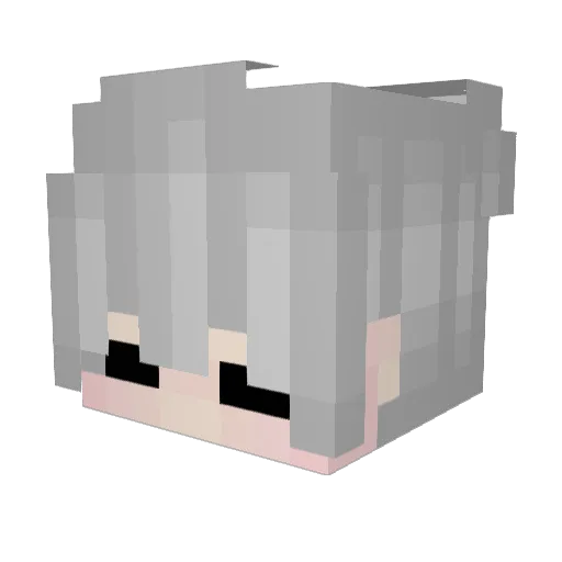 Andris20111 Minecraft avatar head, 3D render