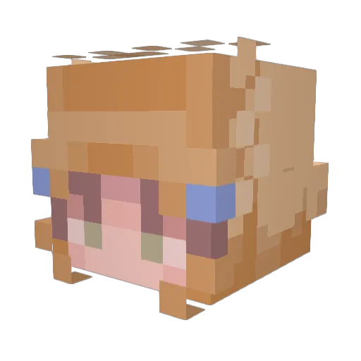 Androide22 Minecraft avatar head, 3D render