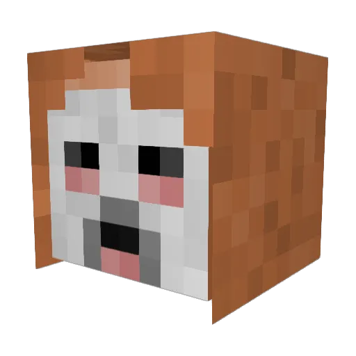 Androlomew Minecraft avatar head, 3D render