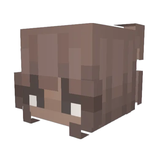 Andromyda_ Minecraft avatar head, 3D render