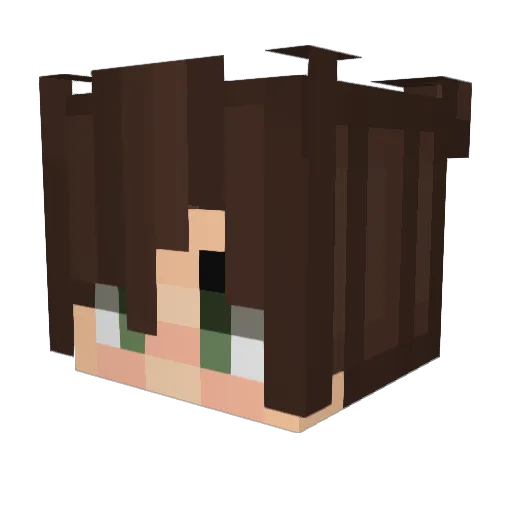 Andrue088 Minecraft avatar head, 3D render