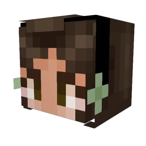 AndryMiran Minecraft avatar head, 3D render