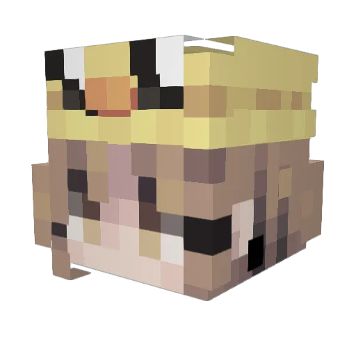 Andulinka17 Minecraft avatar head, 3D render