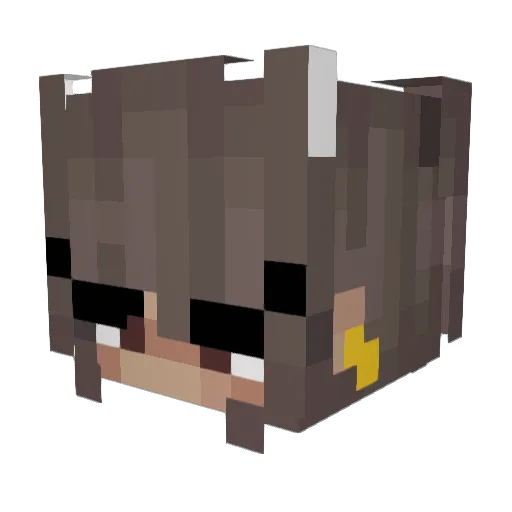 Andx_07 Minecraft avatar head, 3D render