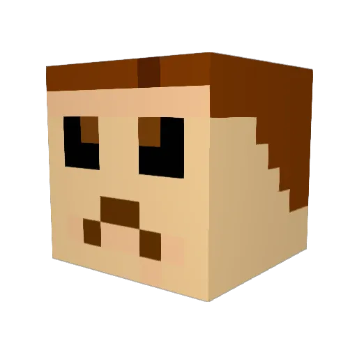 Andy1221 Minecraft avatar head, 3D render