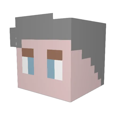 Andy25k1 Minecraft avatar head, 3D render