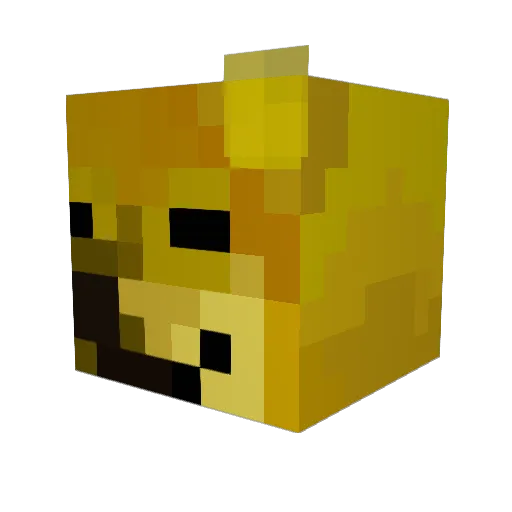 Andy987016 Minecraft avatar head, 3D render