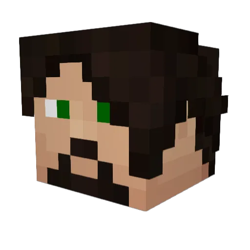 AndyEvo89 Minecraft avatar head, 3D render