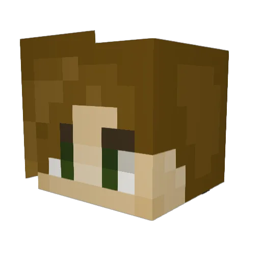 AndyIsLost Minecraft avatar head, 3D render