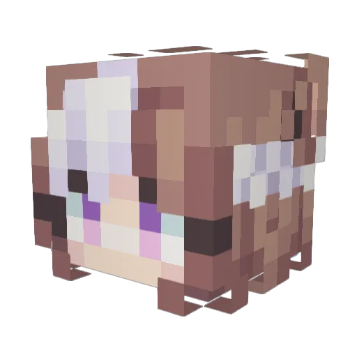 AndyLovesFoxes Minecraft avatar head, 3D render