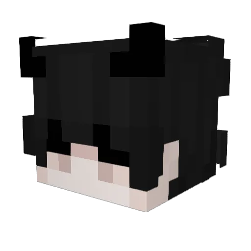 AndyLu599 Minecraft avatar head, 3D render