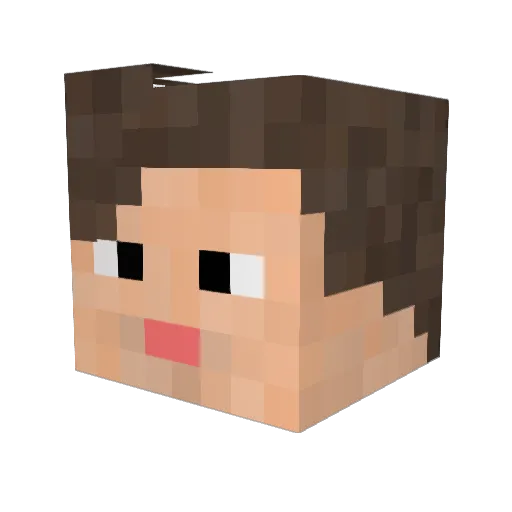 AndyMac9 Minecraft avatar head, 3D render