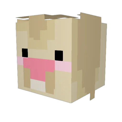 AndyRich123 Minecraft avatar head, 3D render