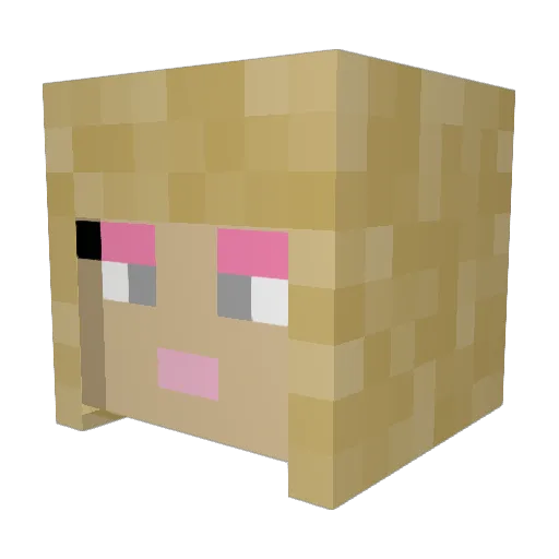 AndySlays Minecraft avatar head, 3D render