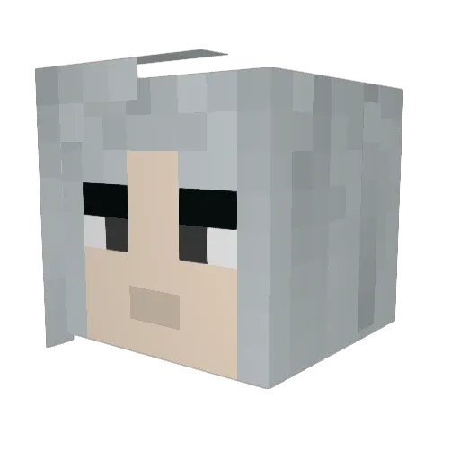 AndyTheIceGod Minecraft avatar head, 3D render