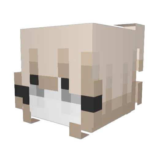 Andy_lucas19 Minecraft avatar head, 3D render
