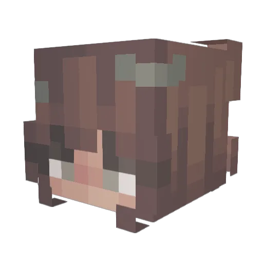 Andyjane420 Minecraft avatar head, 3D render