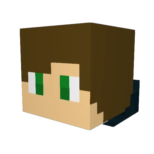Andyrandy06 Minecraft avatar head, 3D render