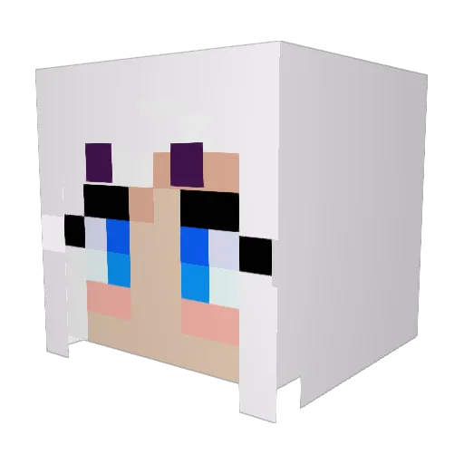 AndysRibcage Minecraft avatar head, 3D render