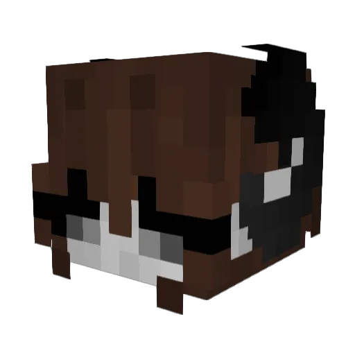 AndyyDemon Minecraft avatar head, 3D render
