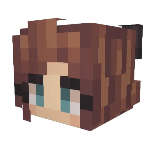 Ane88 Minecraft avatar head, 3D render
