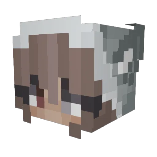 Anecko Minecraft avatar head, 3D render