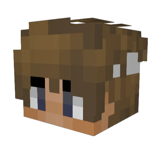 Anectik Minecraft avatar head, 3D render