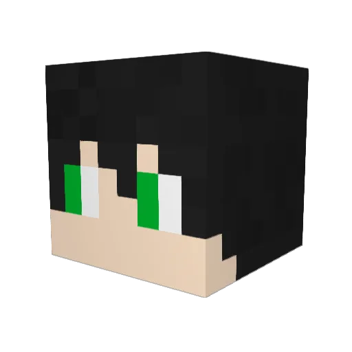 Anee0 Minecraft avatar head, 3D render