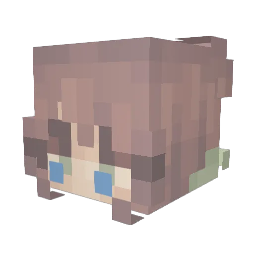 Anee247 Minecraft avatar head, 3D render