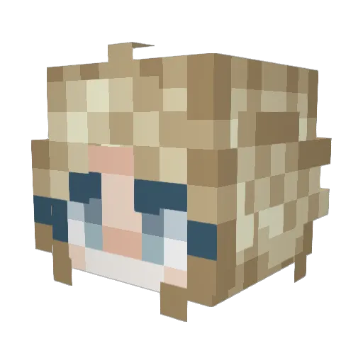 Aneerin Minecraft avatar head, 3D render