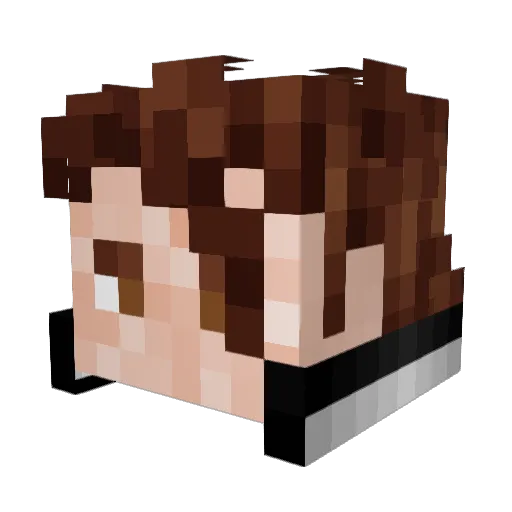 AneeshRao Minecraft avatar head, 3D render