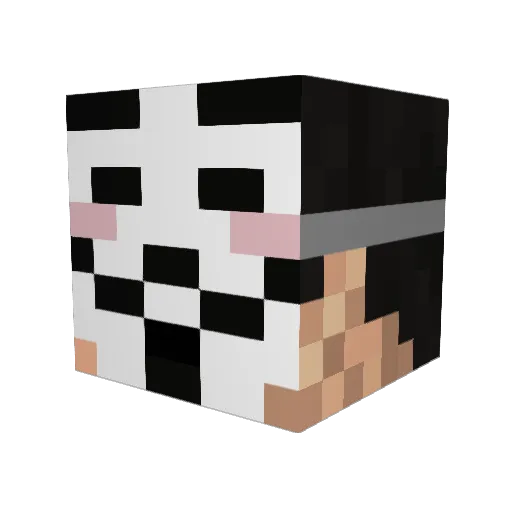 Anei_ Minecraft avatar head, 3D render