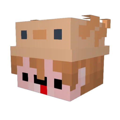 Anels_ Minecraft avatar head, 3D render