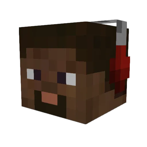 AnemicObject0 Minecraft avatar head, 3D render