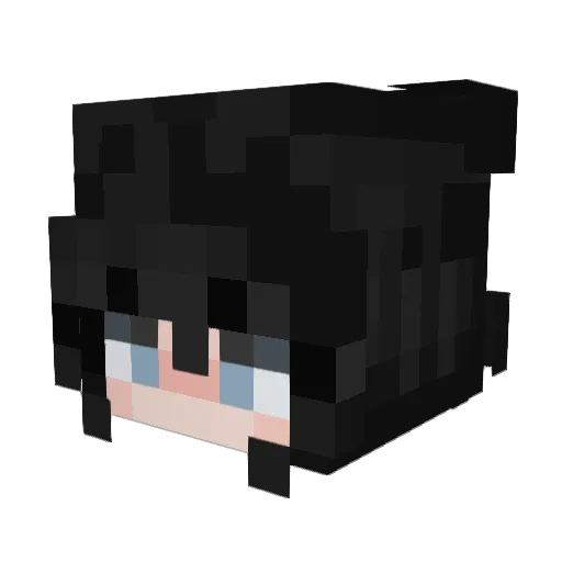 Anemix12 Minecraft avatar head, 3D render