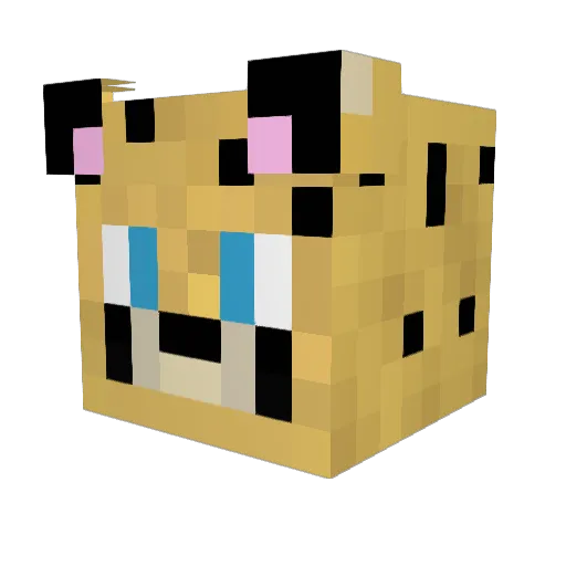 Anemmane Minecraft avatar head, 3D render