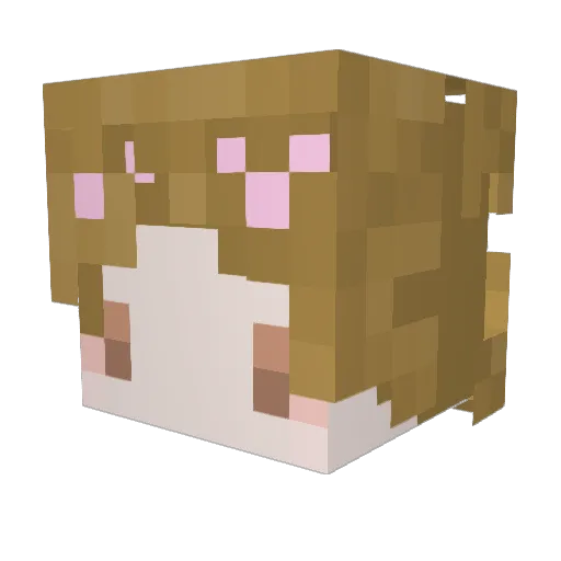AnemonaPop Minecraft avatar head, 3D render