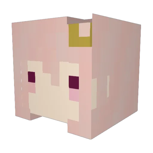 Anemone9029 Minecraft avatar head, 3D render