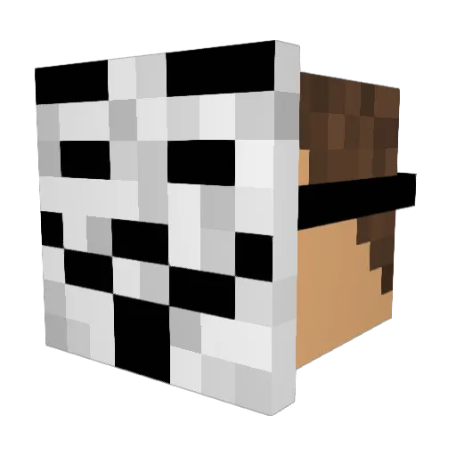 Anensa Minecraft avatar head, 3D render