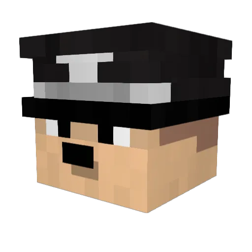 Aner011 Minecraft avatar head, 3D render