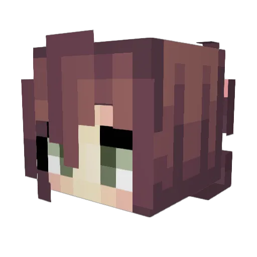 Anergos_1 Minecraft avatar head, 3D render