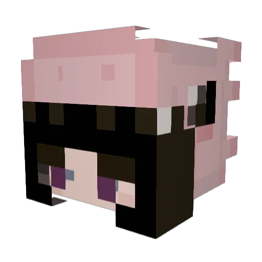 Anet31 Minecraft avatar head, 3D render