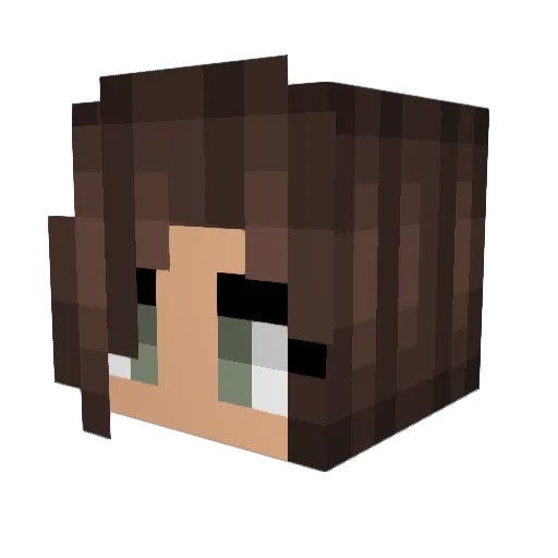 Anet991 Minecraft avatar head, 3D render