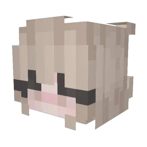 AnetKrist Minecraft avatar head, 3D render