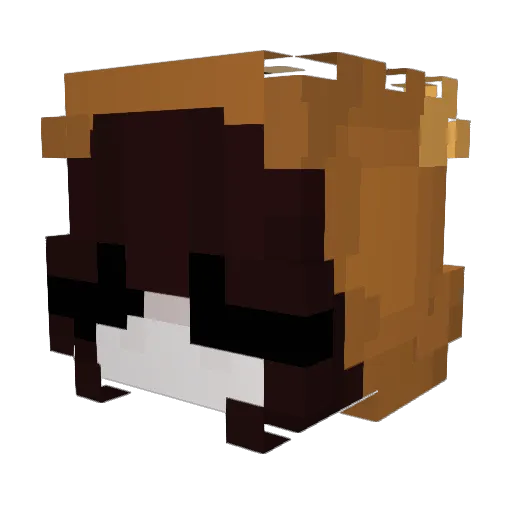 Aneta510 Minecraft avatar head, 3D render