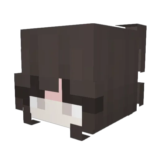 Anetk_a Minecraft avatar head, 3D render