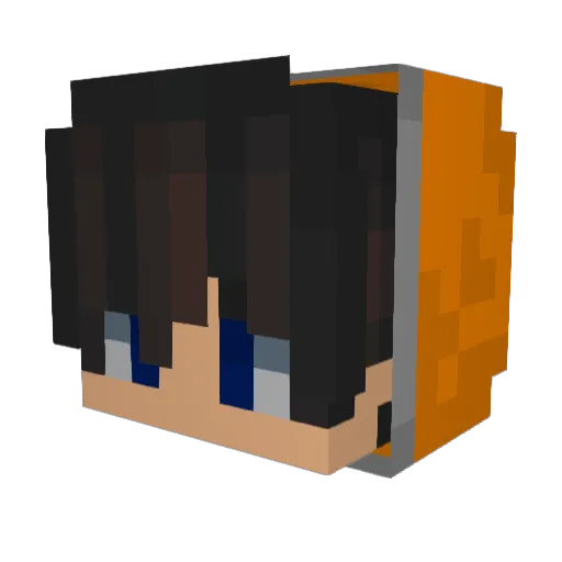 AnewBorn00 Minecraft avatar head, 3D render