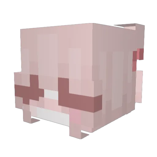 Anexadoo Minecraft avatar head, 3D render