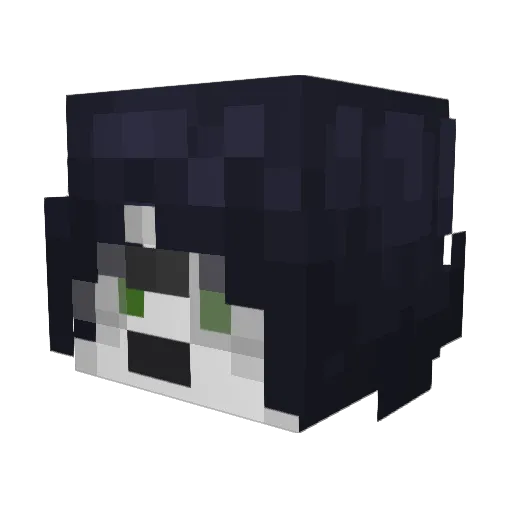 Anexfloy Minecraft avatar head, 3D render