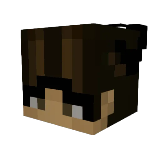 Aneyth Minecraft avatar head, 3D render